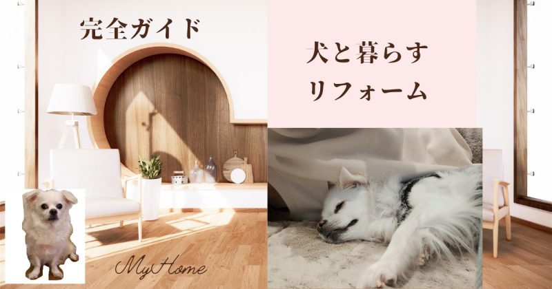 犬と暮らすリフォーム完全ガイド