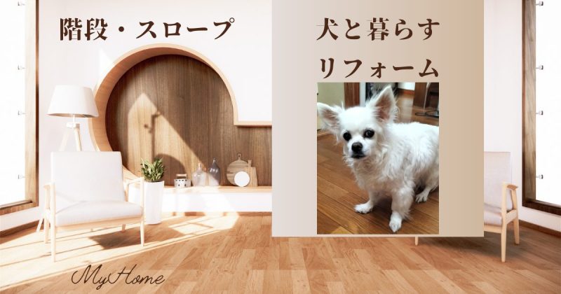 階段　スロープ