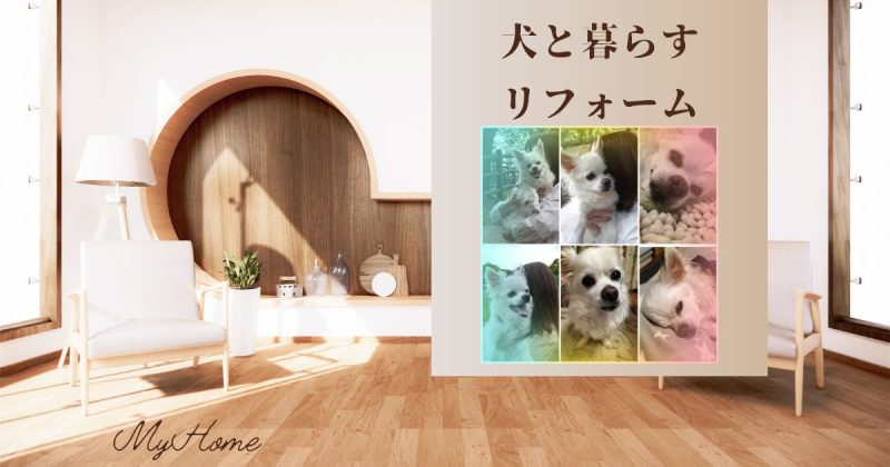 犬と暮らすリフォームアイキャッチ